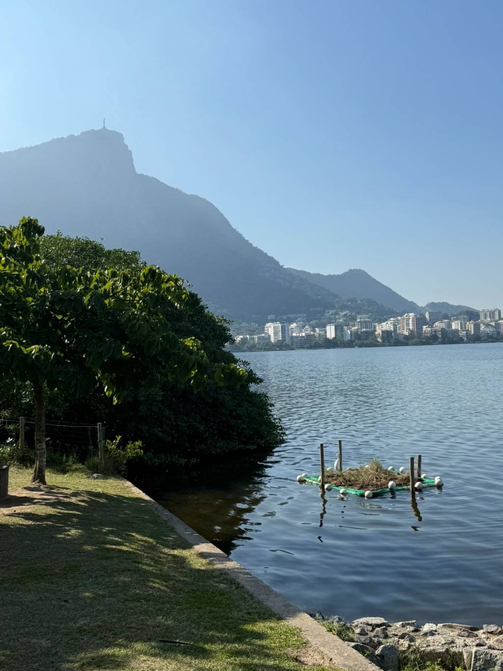 Moscatelli, sobre o Dia do Meio Ambiente: “Capivara e manguezal não votam”