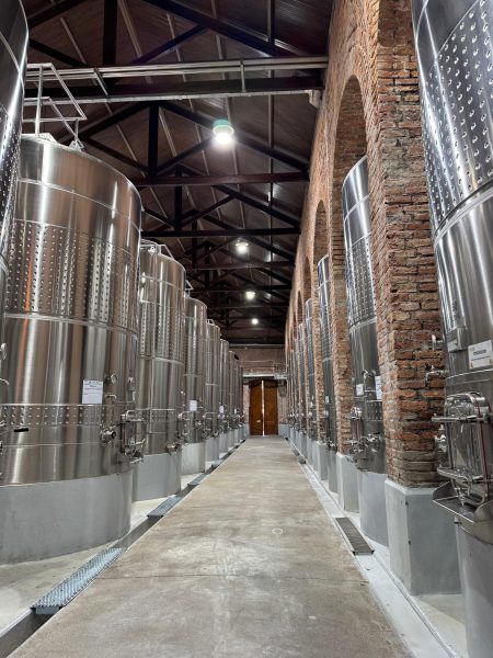 bodega terraza de los andes