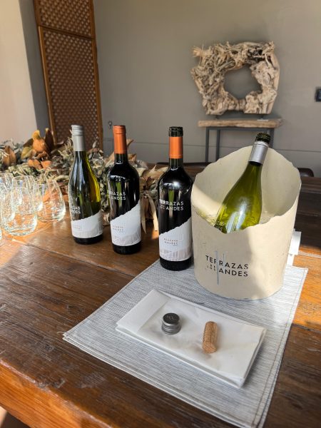 vinhos terraza de los andes