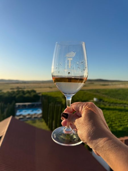 torre de palma wine hotel