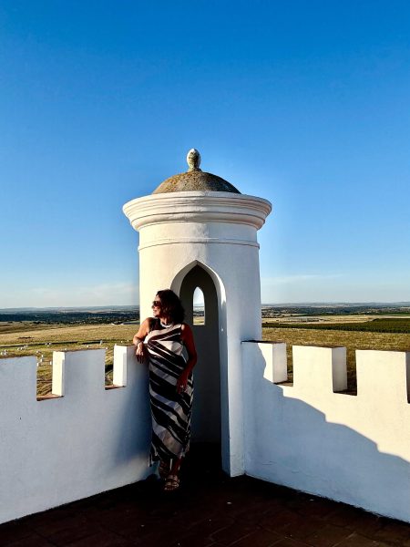 torre de palma renata araujo