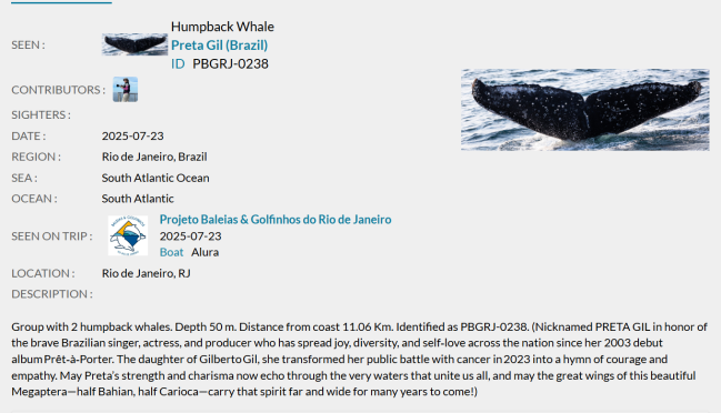 Preta Gil foi catalogada em plataforma mundial