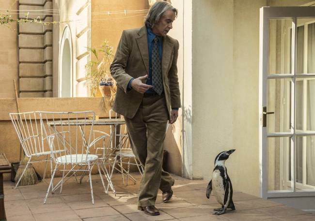 Lições-de-Liberdade