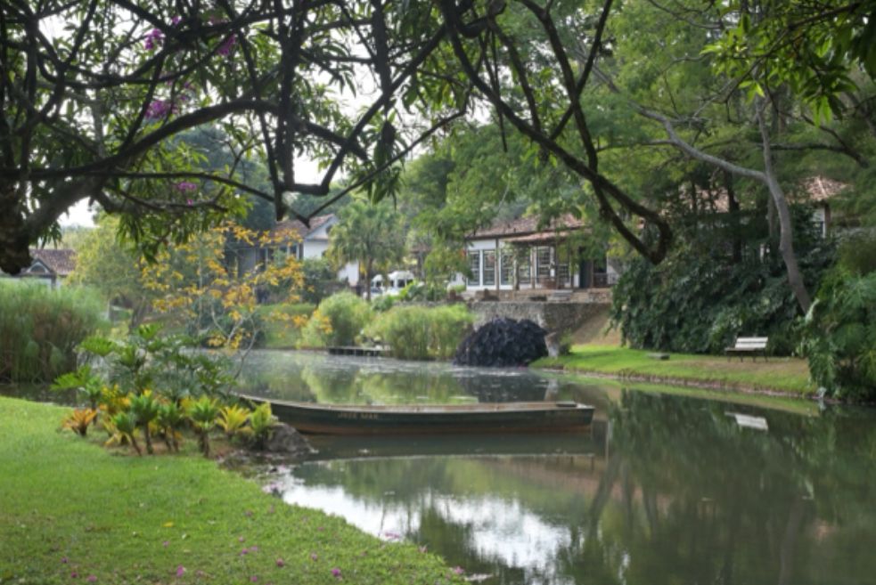 Programa&ccedil;&atilde;o nas fazendas