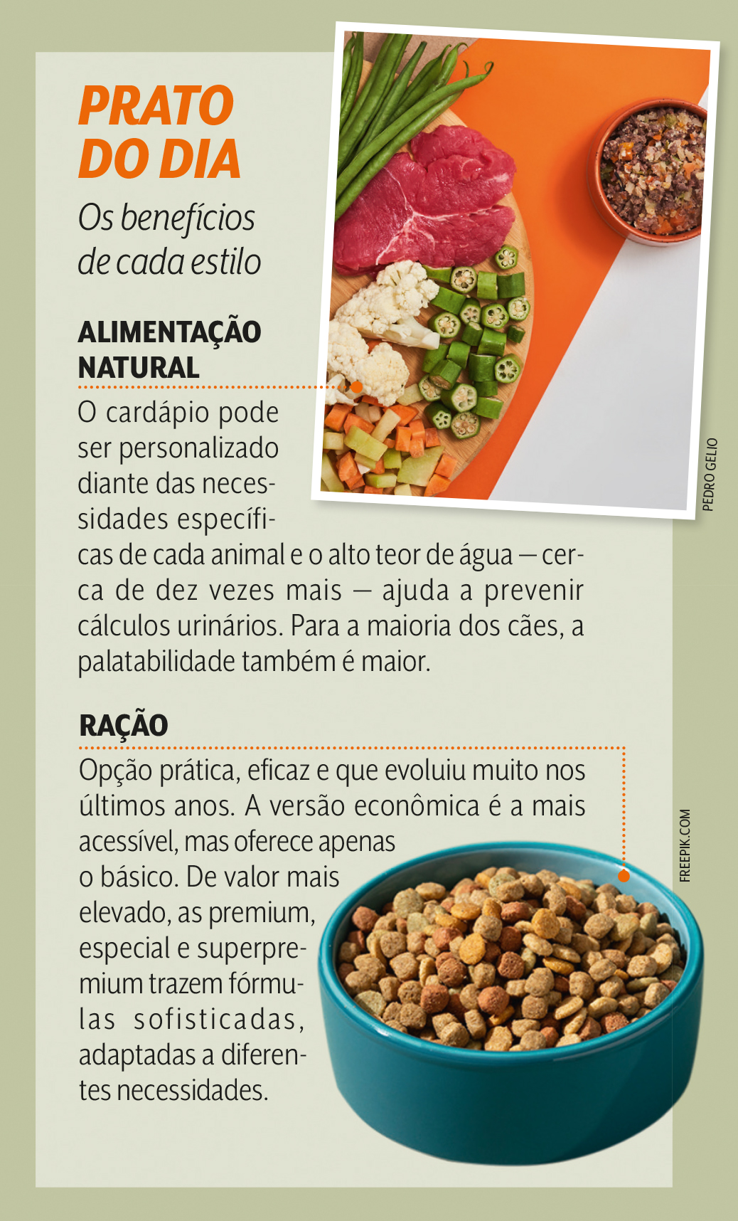 Box sobre o dia a dia da alimenta&ccedil;&atilde;o dos Pets