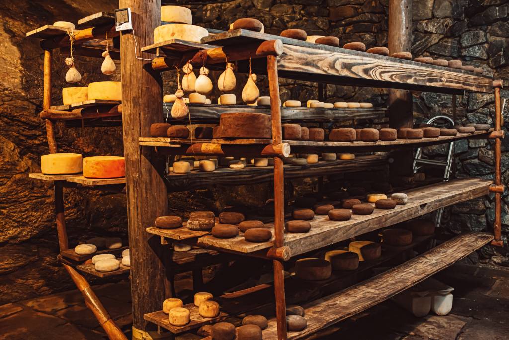 Caminho do Ouro: a preciosa rota dos queijos premiados de Valença