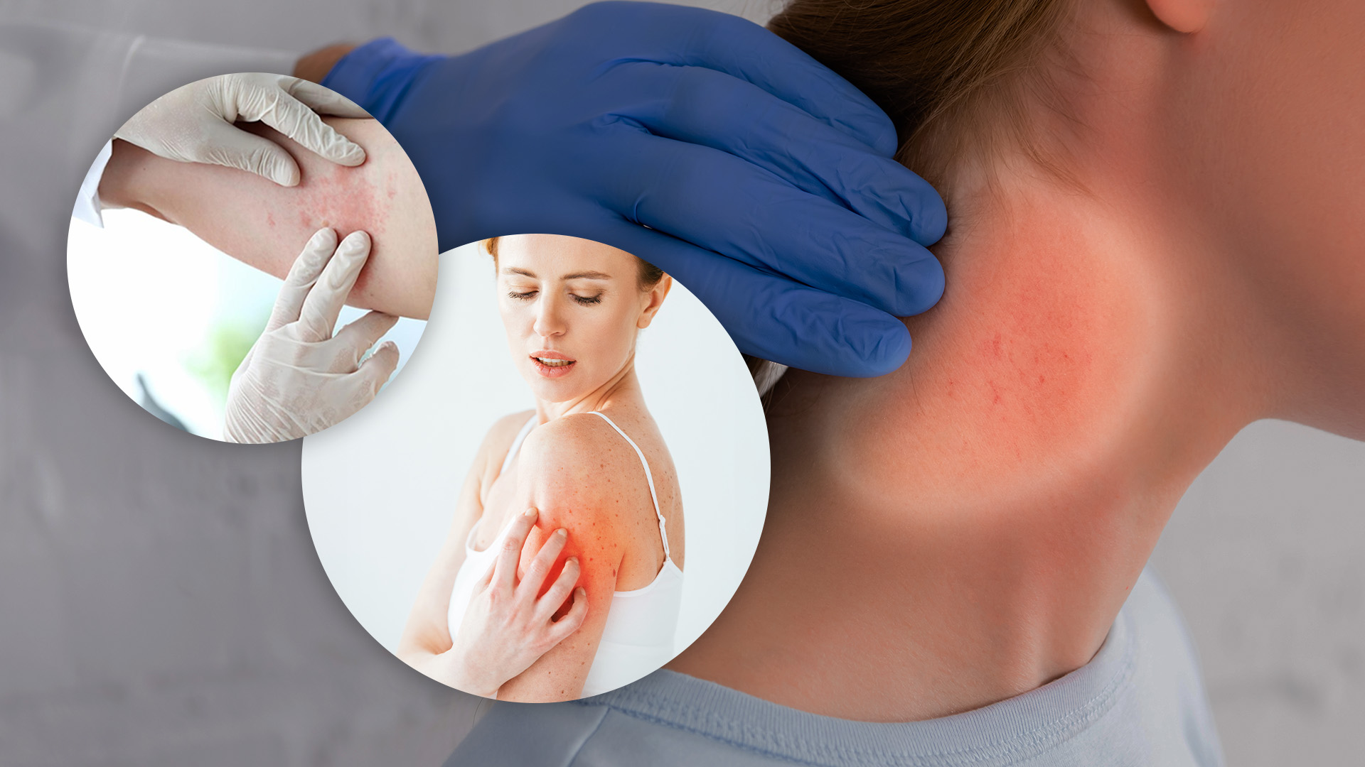 07-10 Banner Dani v2