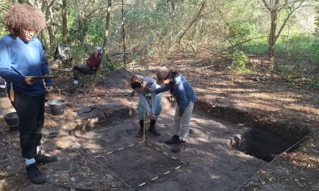 Ossos humanos e dentes de tubarão: novos sítios arqueológicos no Rio