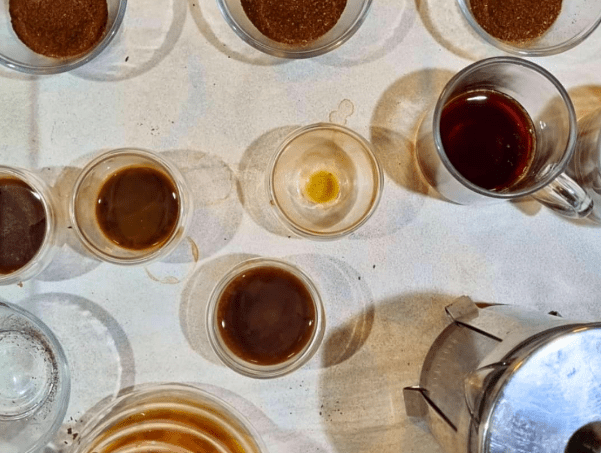 imagem_2025-10-27_220714423