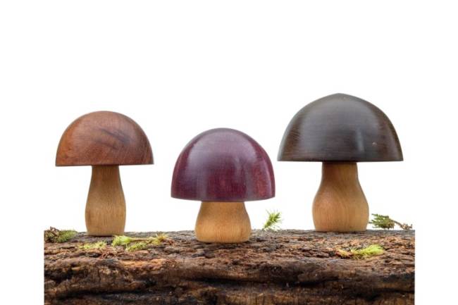 Boas Compras: a onda dos cogumelos invade a cidade