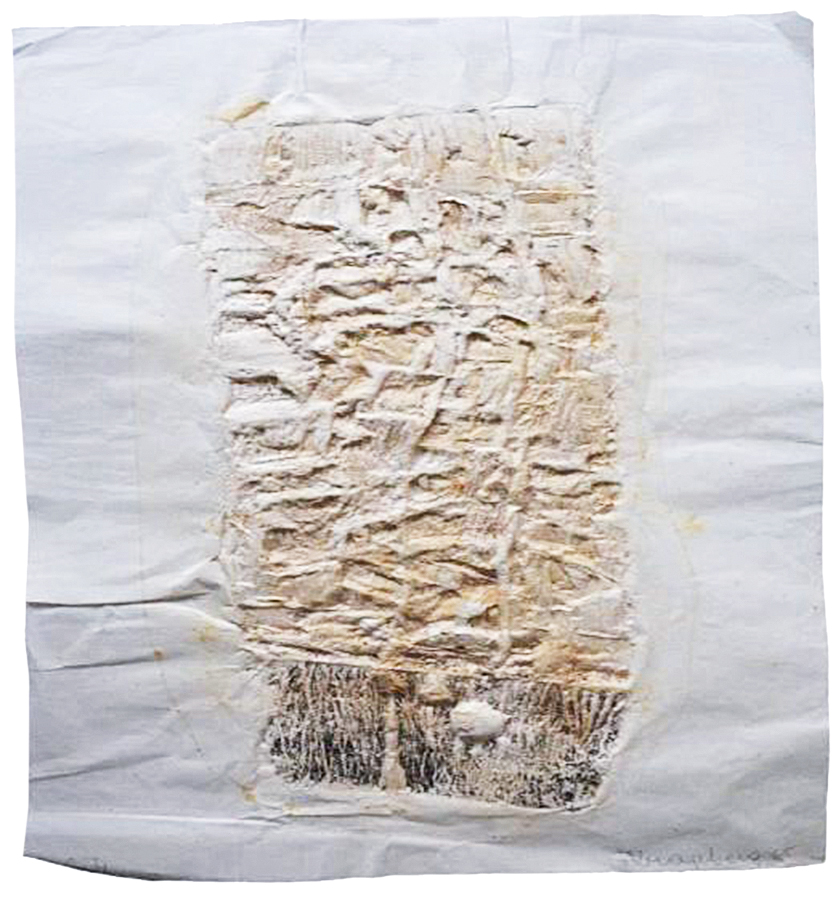 fotos frans Krajcberg/acervo pessoal