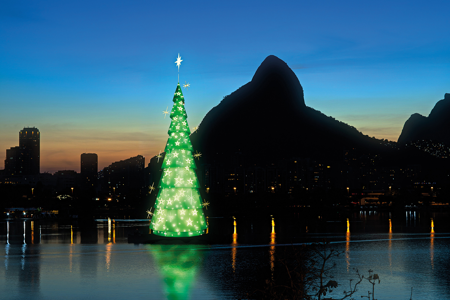 Arvore do Rio Lagoa credito divulgacao 2025.jpeg