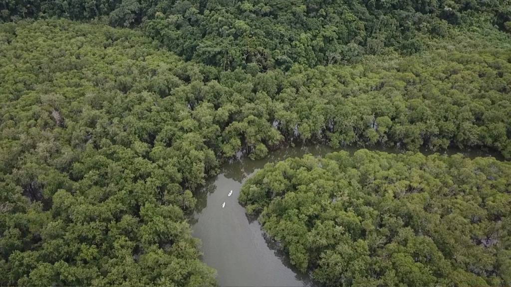 Datas, dates e o 11/11 como portal para curar a Terra