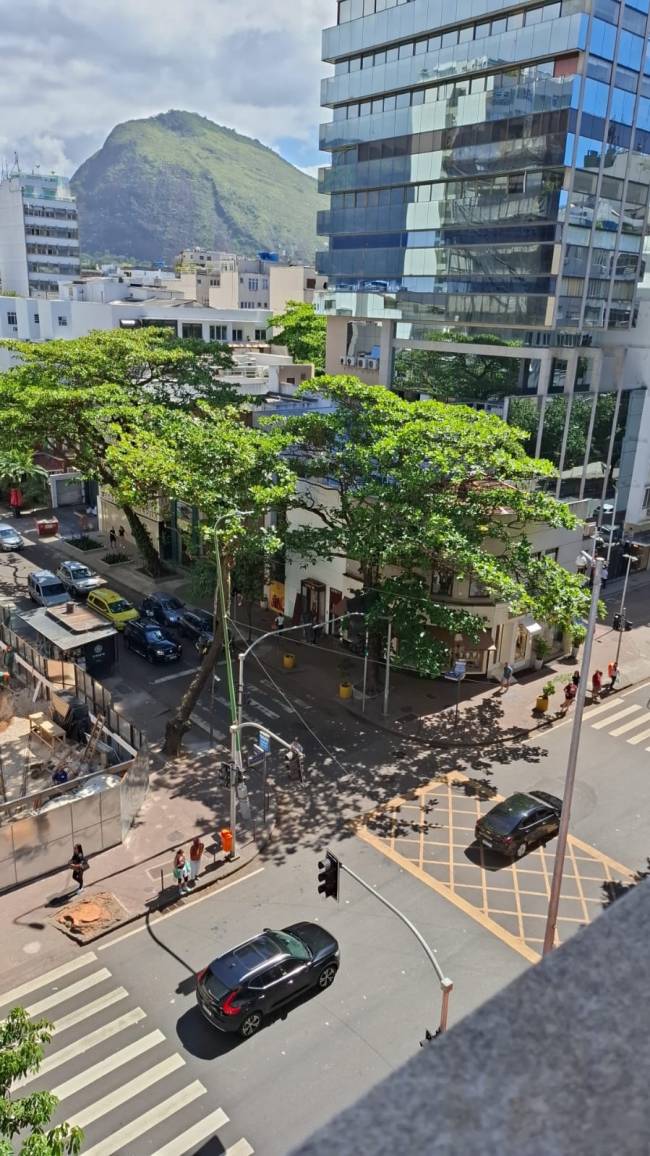 Mais um ângulo da árvore em frente ao canteiro de obras
