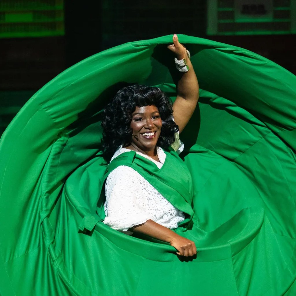 Teatro, por Claudia Chaves: “A pérola negra do samba”