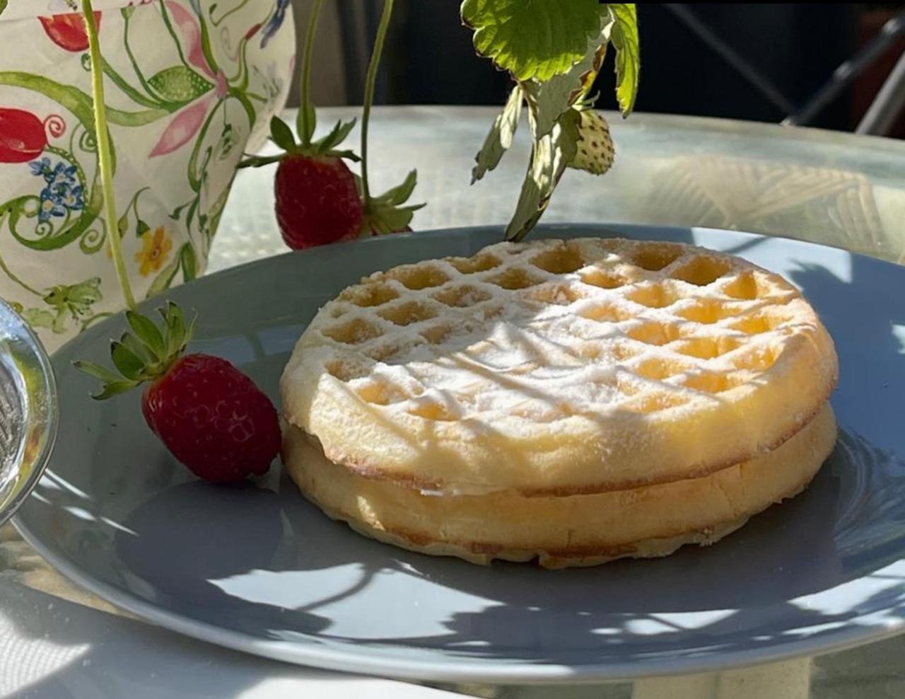 Wafle-Elisa-Mendes-de-Almeida-Receita