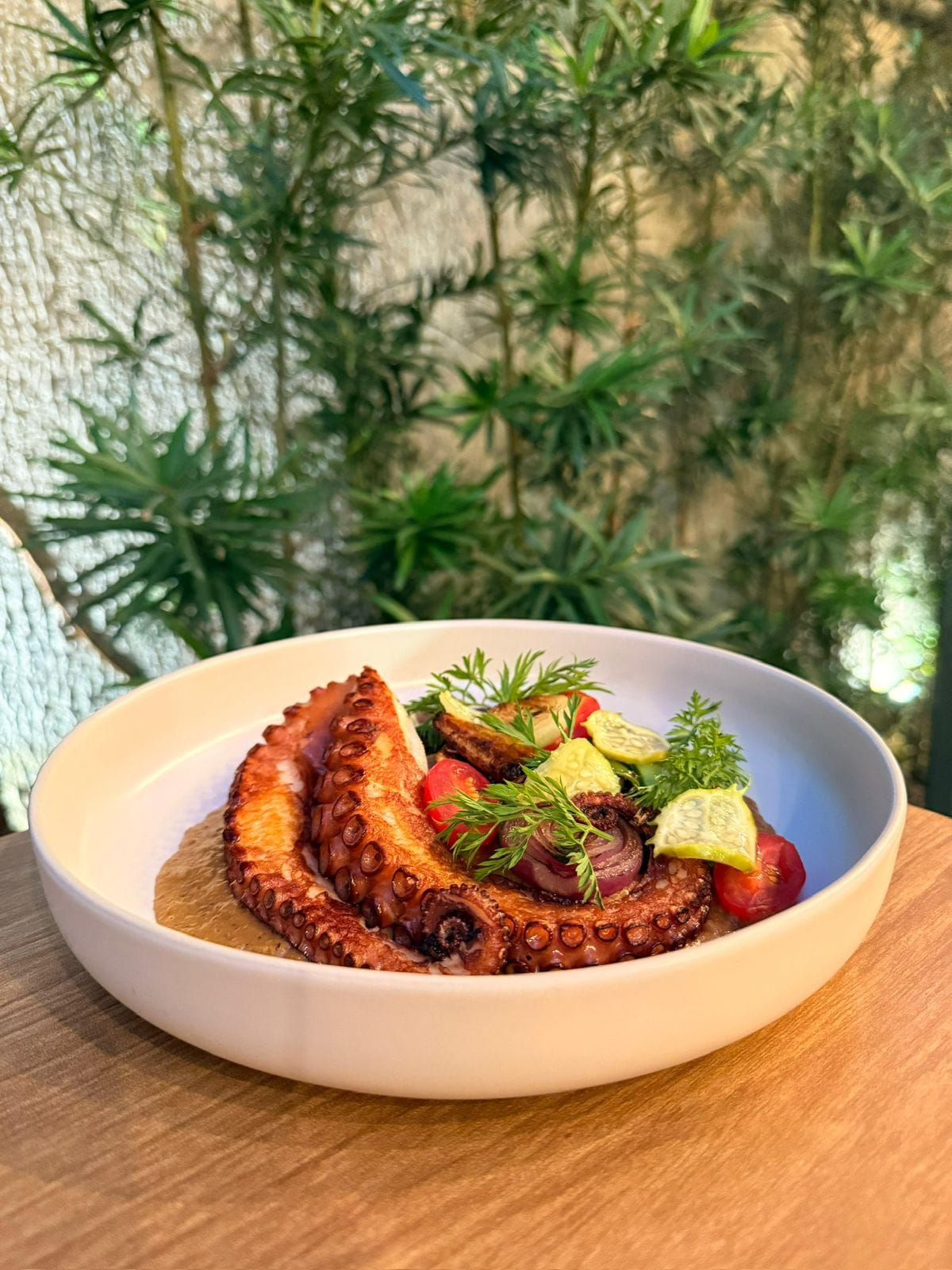 Cam On: polvo em molho de aromas da &Aacute;sia