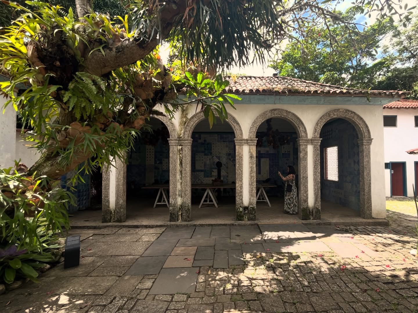 Rafael Bokor: o ateliê de Burle Marx no sítio de Barra de Guaratiba