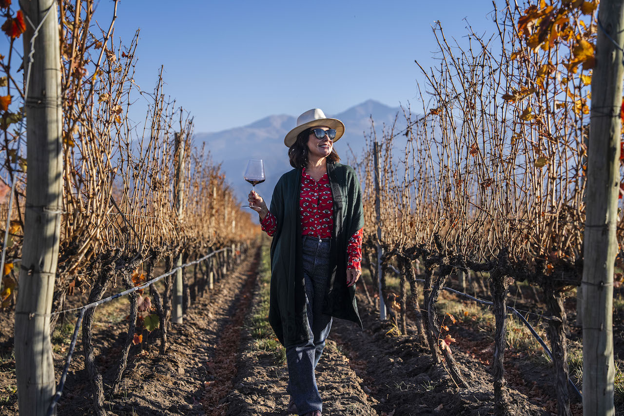 filmes e series sobre vinhos