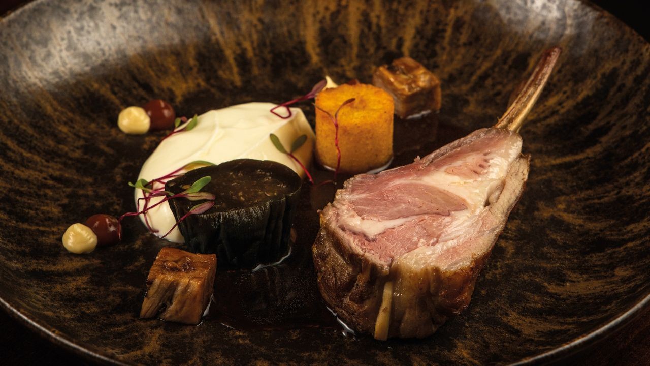Prato gourmet com costeleta de cordeiro rosada, purê branco, patê escuro, cilindro laranja, cubos caramelizados e avelãs, decorado com brotos em um prato escuro texturizado