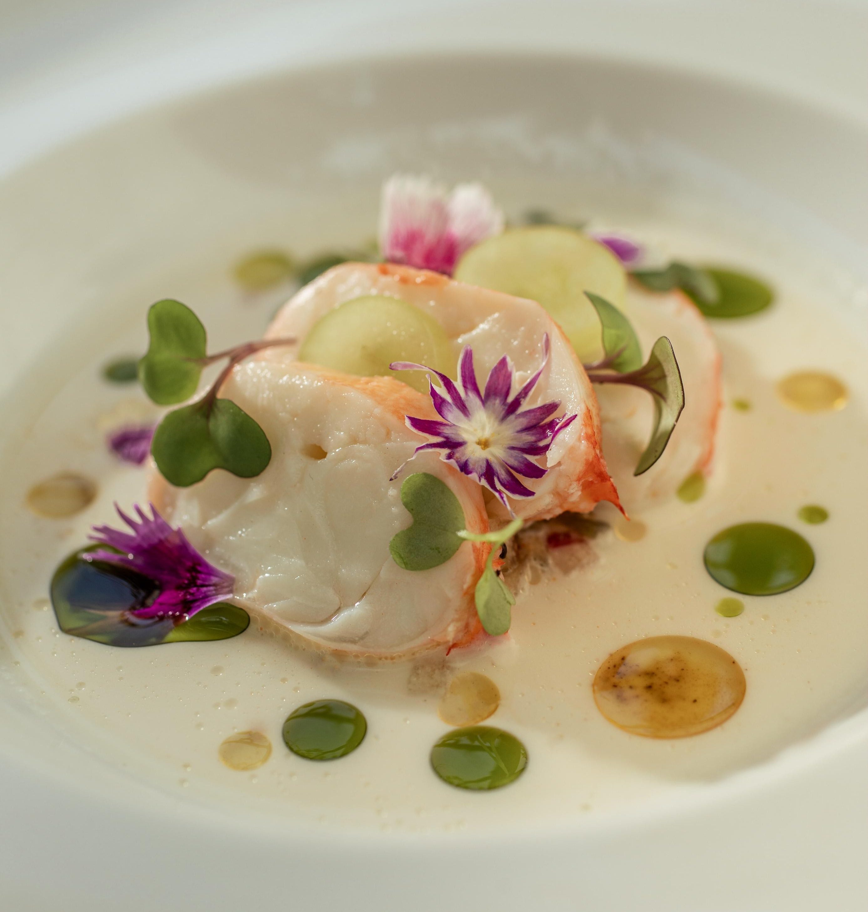 Prato gourmet com lagosta em creme branco, decorado com flores roxas e rosa, fatias de pepino, brotos verdes e gotas de azeite verde e dourado