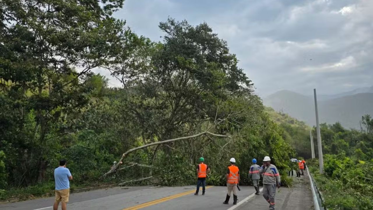 Angra e Paraty: ventos com rajadas acima de 100 km/h assustam moradores