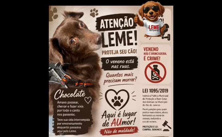 Depois de mortes suspeitas, moradores unidos pelos animais no Leme  