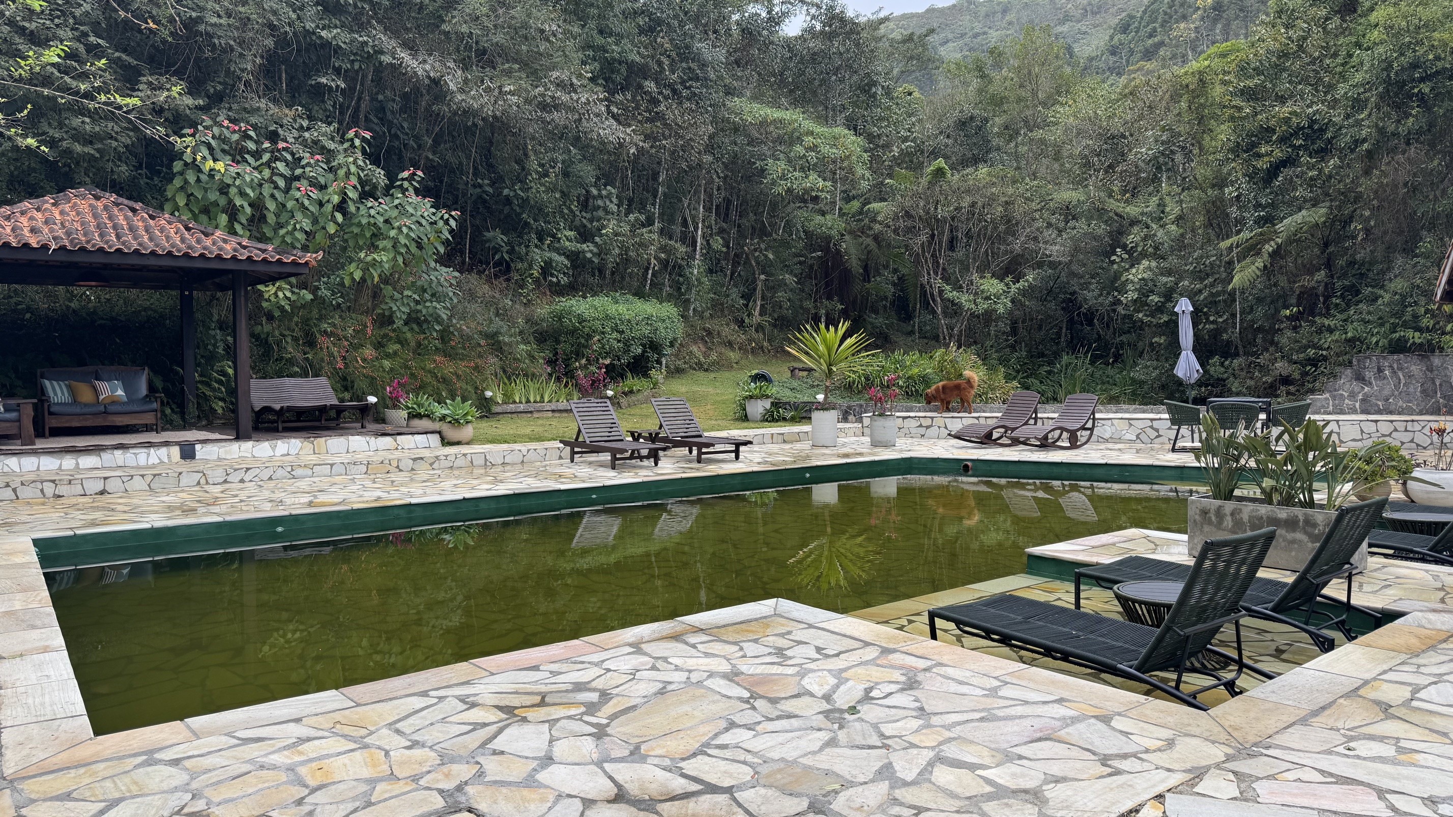 Pousada Terras Altas celebra 25 anos com sustentabilidade na Mantiqueira